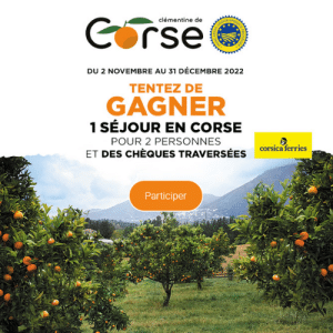 Clémentines de Corse 