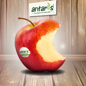 pommes Antarès
