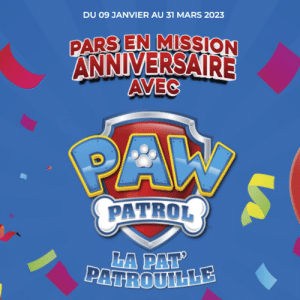 Jeu Pat Patrouille