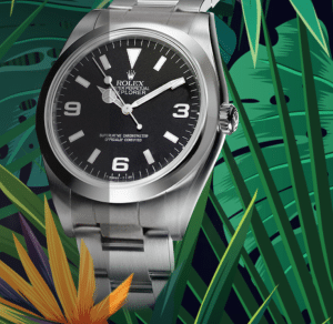 Une ROLEX pour vous?