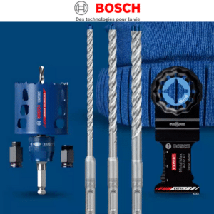 Jeu Bosch