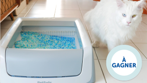 1 bac à litière ScoopFree autonettoyant (179 euros)