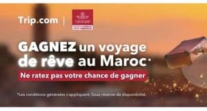 1 lot de 2 billets d'avion Royal Air Maroc aller-retour en classe Economy (500 euros)