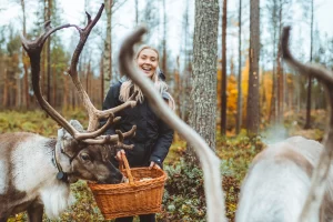 1 séjour pour 2 personnes à l'Apukka Resort en Laponie Finlandaise (1000 euros)