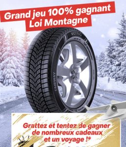 1 voyage (1000 euros)