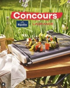 1 plancha grill Équilibre Lagrange