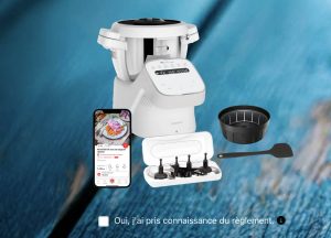 1 robot connecté I-Companion valeur 800 €