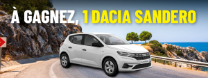 1 voiture modèle Dacia Sandero