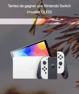 1 console Nintendo Switch OLED valeur 319 €