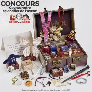 1 calendrier de l'Avent Harry Potter