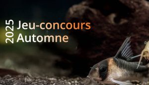 1 système Proflora CO2 pour aquarium valeur 560 €