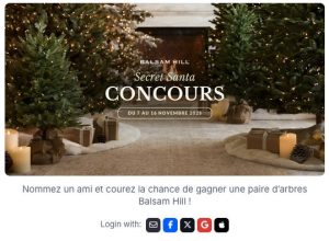 1 lot de 2 sapins de Noël Balsam Hill valeur 1 000 €
