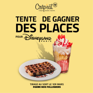 Des entrées à Disneyland Paris