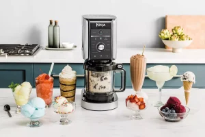 1 machine à délices glacés Ninja valeur 269 €