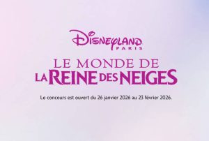 25 x 4 entrées pour les 2 parcs de Disneyland Paris valeur 523 €