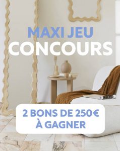 2 bons d'achat "Maxi Bazar" de 250 euros