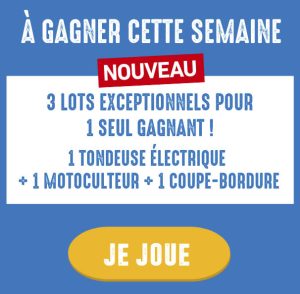 1 motoculteur électrique + 1 tondeuse électrique + 1 coupe-bordure électrique