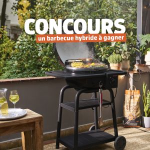 1 barbecue hybride Patio bistrot E2 Coal Char-Broil valeur 399 €