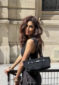 1 sac DeMellier "The New York Shoulder" valeur 450 €