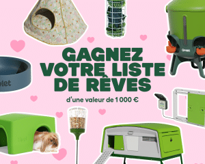 1 bon d'achat "Omlet" de 1000 euros