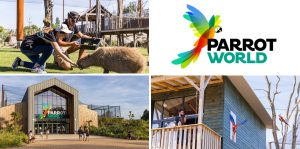2 séjours en lodge Amazonie pour 4 au Parc Parrot World valeur 606 €