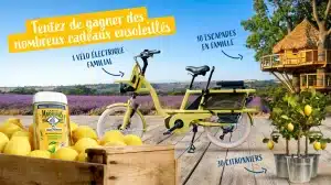 1 vélo électrique Gaya valeur 2 900 €