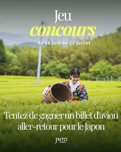 1 billet d'avion A/R "Paris - Tokyo (Japon)" pour 1 personne valeur 2 500 €
