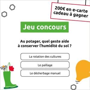 e-carte cadeau "Mr. Bricolage"