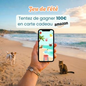 cartes cadeau "Amazon"