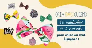 médailles personnalisées "Oria & Guizmo"